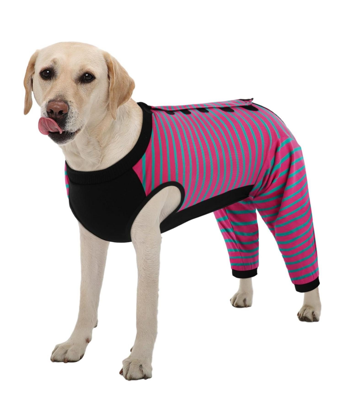 Soft Recovery Onesie Surgical Suit with Rear Leg Sleeve and Abdominal Coverage for Dogs Soft Recovery Onesie Surgical Suit with Rear Leg Sleeve and Abdominal Coverage for Dogs