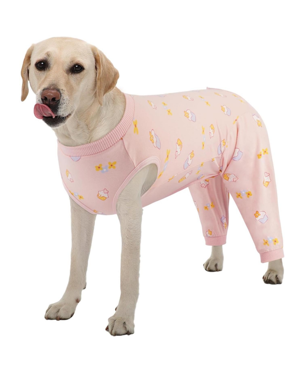 Soft Recovery Onesie Surgical Suit with Rear Leg Sleeve and Abdominal Coverage for Dogs Soft Recovery Onesie Surgical Suit with Rear Leg Sleeve and Abdominal Coverage for Dogs