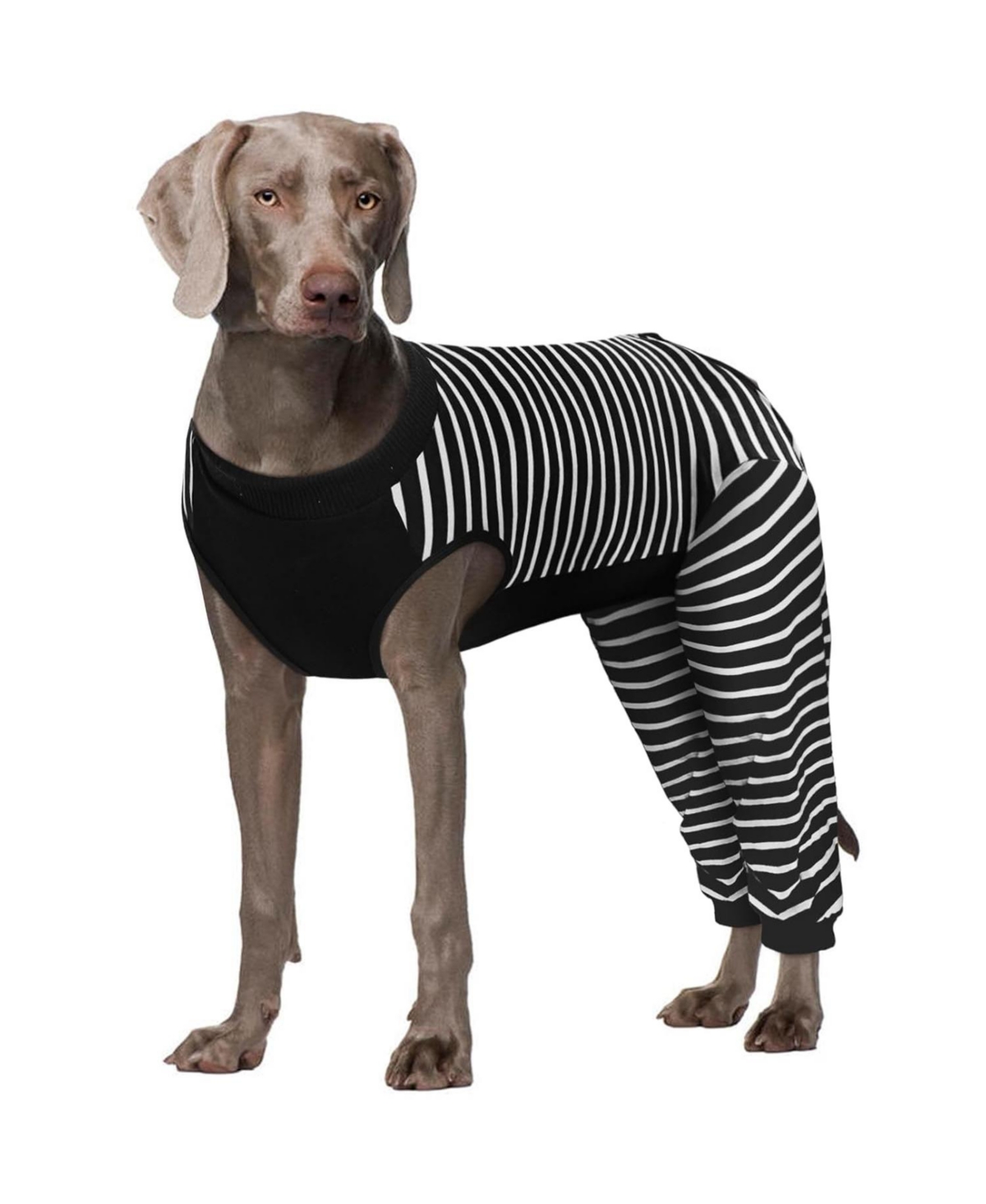 Soft Recovery Onesie Surgical Suit with Rear Leg Sleeves and Abdominal Coverage for Dogs – Black