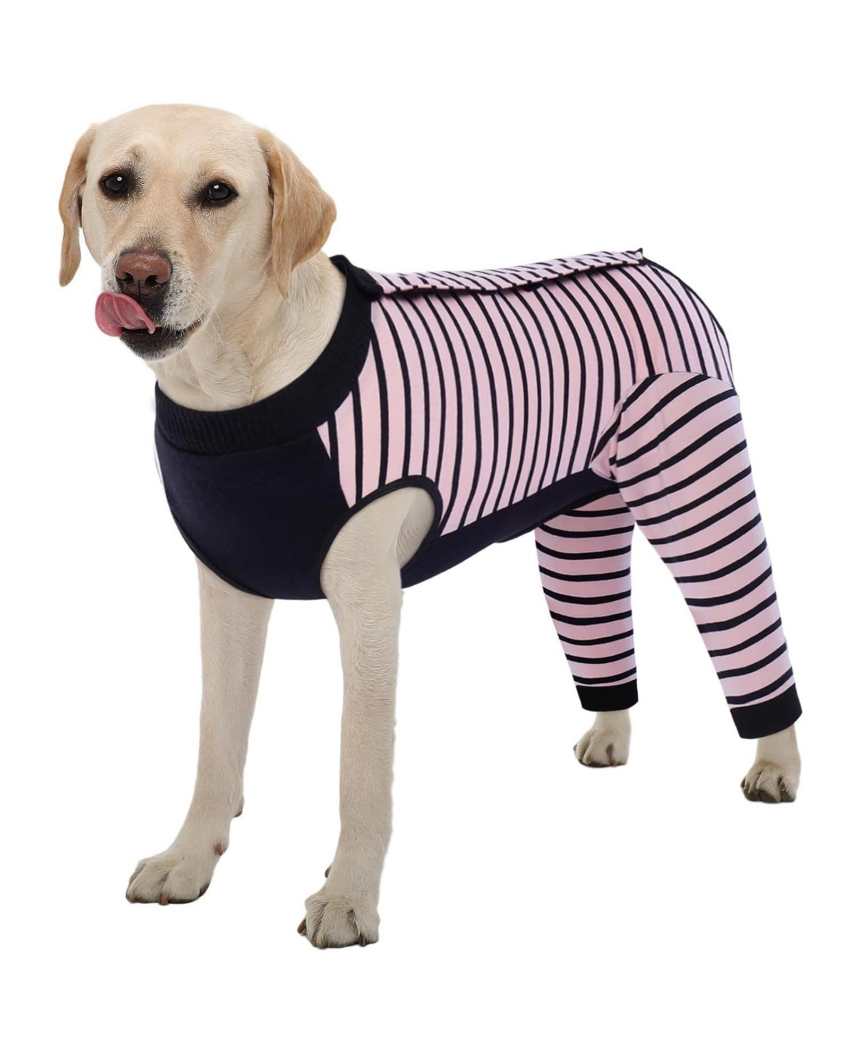 Soft Recovery Onesie Surgical Suit with Rear Leg Sleeves and Abdominal Coverage for Dogs – Silver