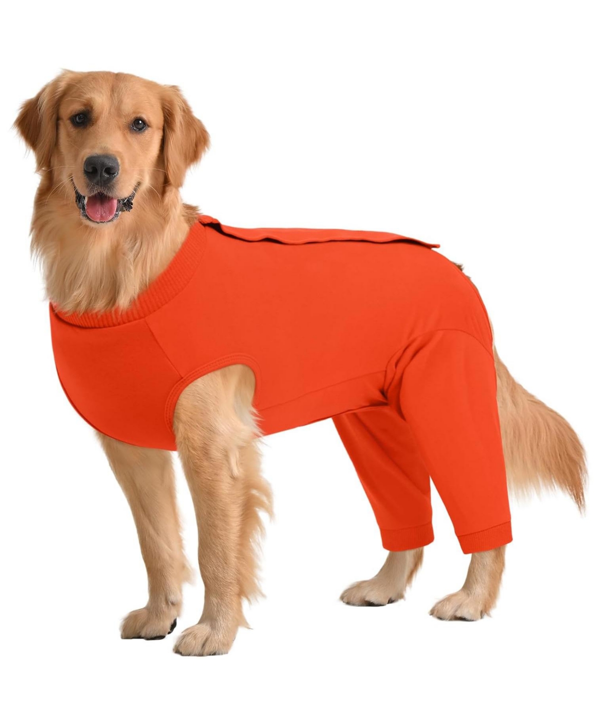 Soft Recovery Suit with Rear Leg Sleeve and Abdominal Cover for Post-Surgical Dog Care Soft Recovery Suit with Rear Leg Sleeve and Abdominal Cover for Post-Surgical Dog Care
