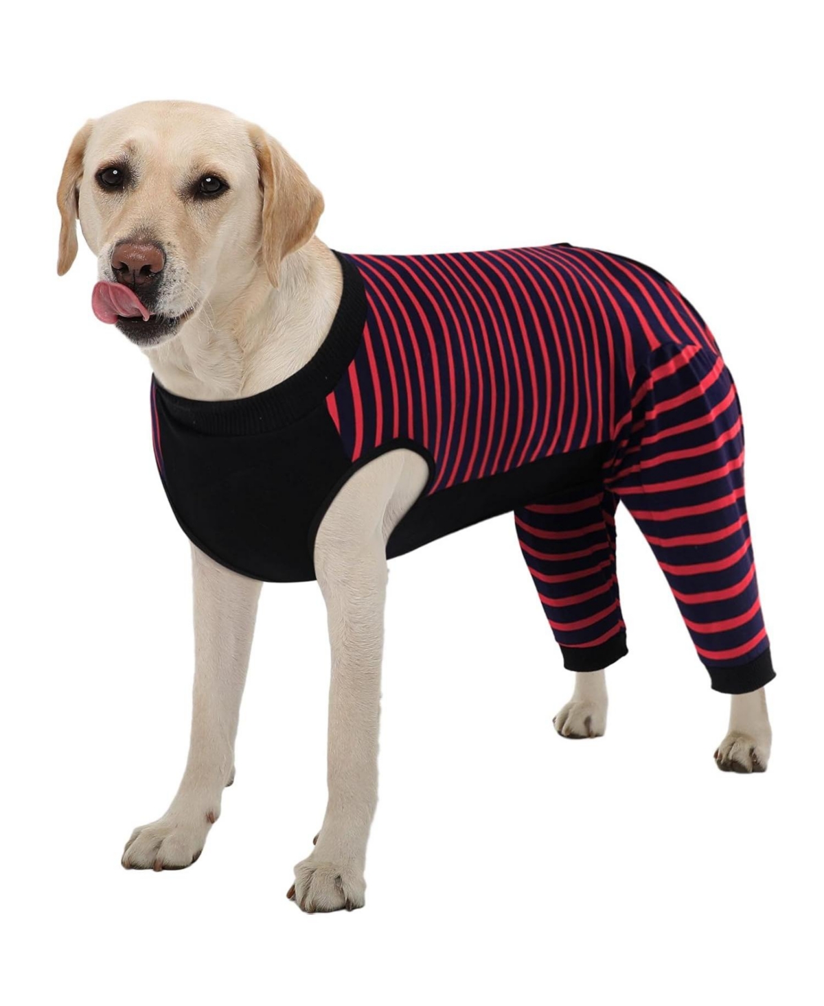 Soft Recovery Suit with Rear Leg Sleeve and Abdominal Coverage for Dogs Soft Recovery Suit with Rear Leg Sleeve and Abdominal Coverage for Dogs