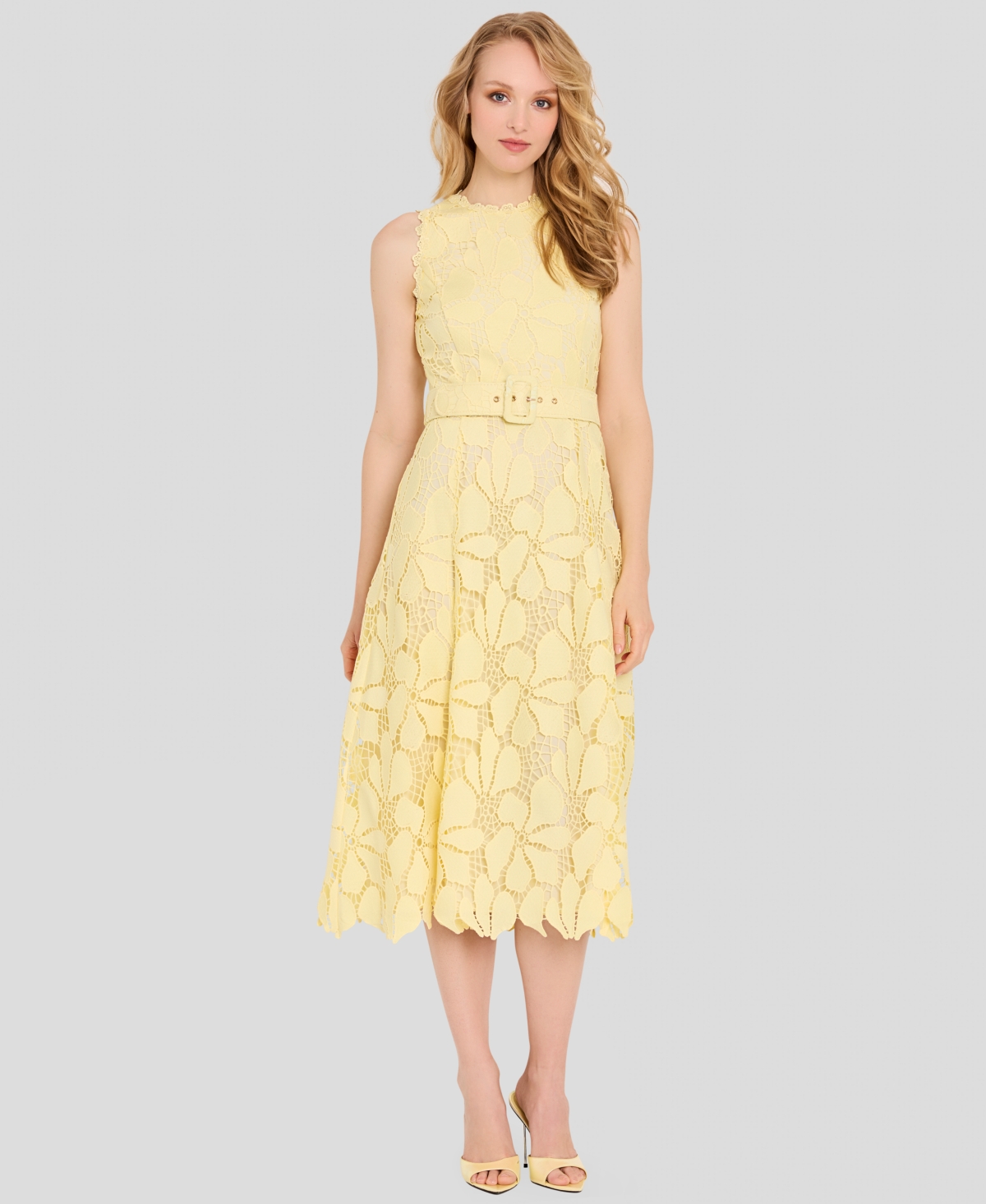 Tahari Asl Women’s Belted Lace Midi Dress – Buttercup Tahari Asl Women’s Belted Lace Midi Dress – Buttercup